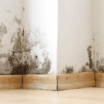 infiltration d'eau de pluie dans les murs